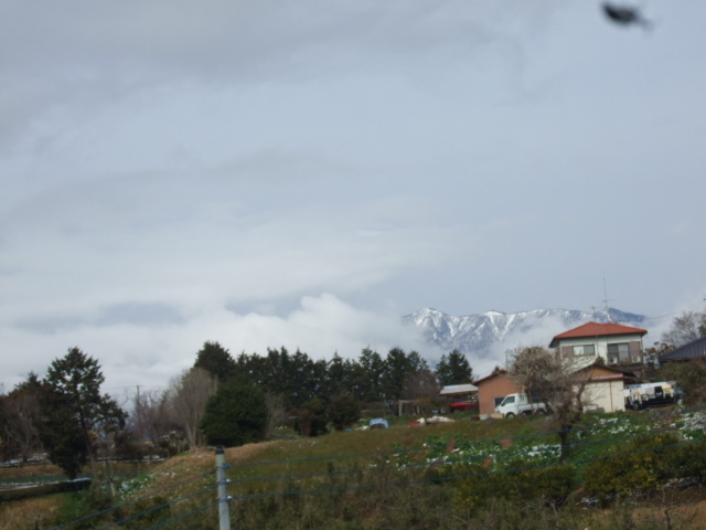 b0137932_18343037.jpg