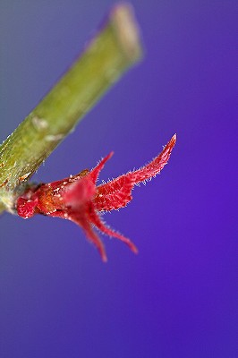 d0029333_2012032.jpg