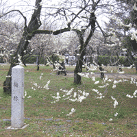 d0033734_18182781.gif