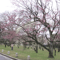 d0033734_18191553.gif