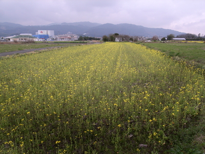 a0097735_23215453.jpg