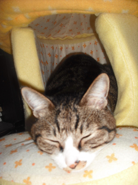 c0194042_20141860.jpg