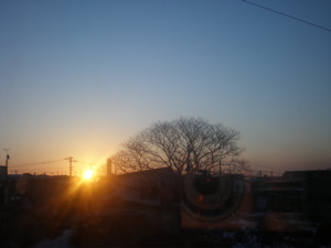 c0153444_856598.jpg