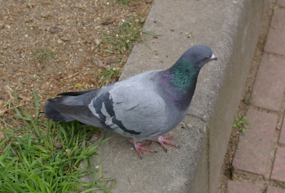 c0145449_222831.jpg