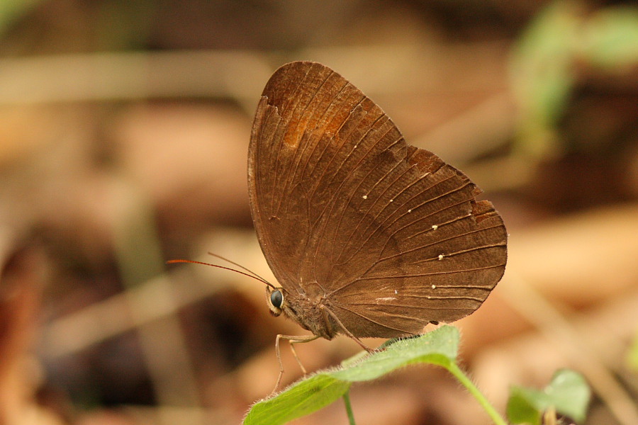 a0094850_20295194.jpg