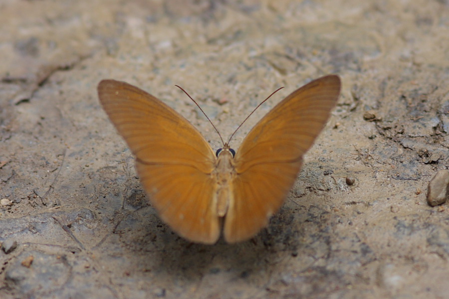 a0094850_20304450.jpg