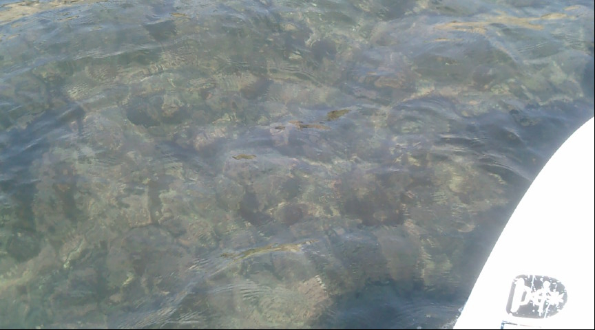 f0150151_15422264.jpg