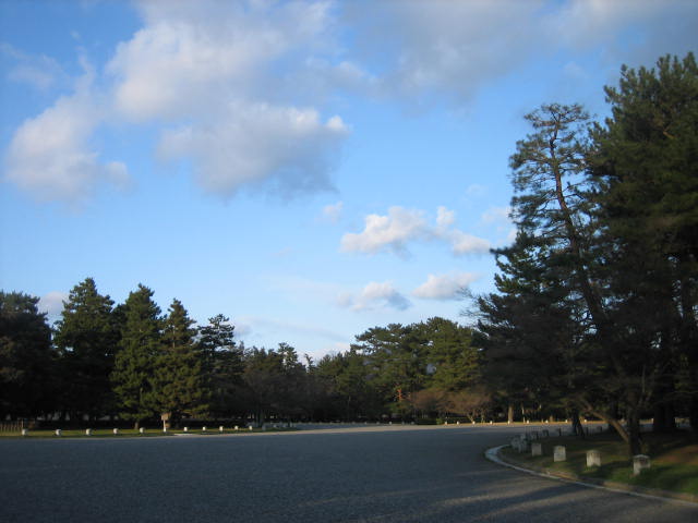 f0181251_1601618.jpg