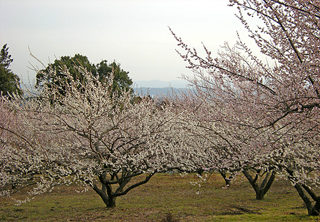 a0001354_2023024.jpg