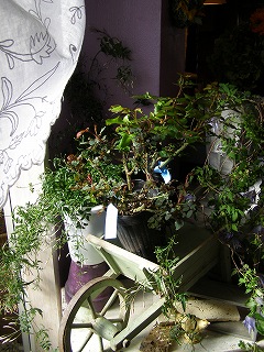 e0118257_2151266.jpg