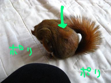 c0182258_22314399.jpg