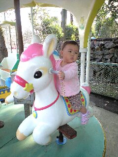 f0082659_834999.jpg