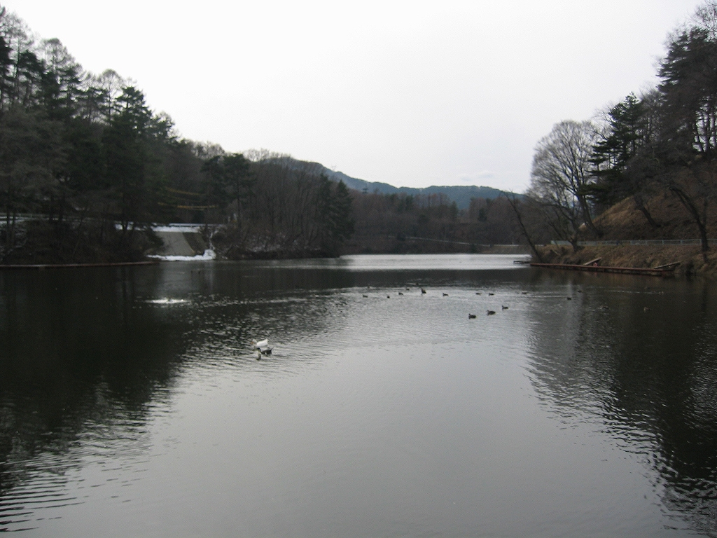 c0140260_22333524.jpg
