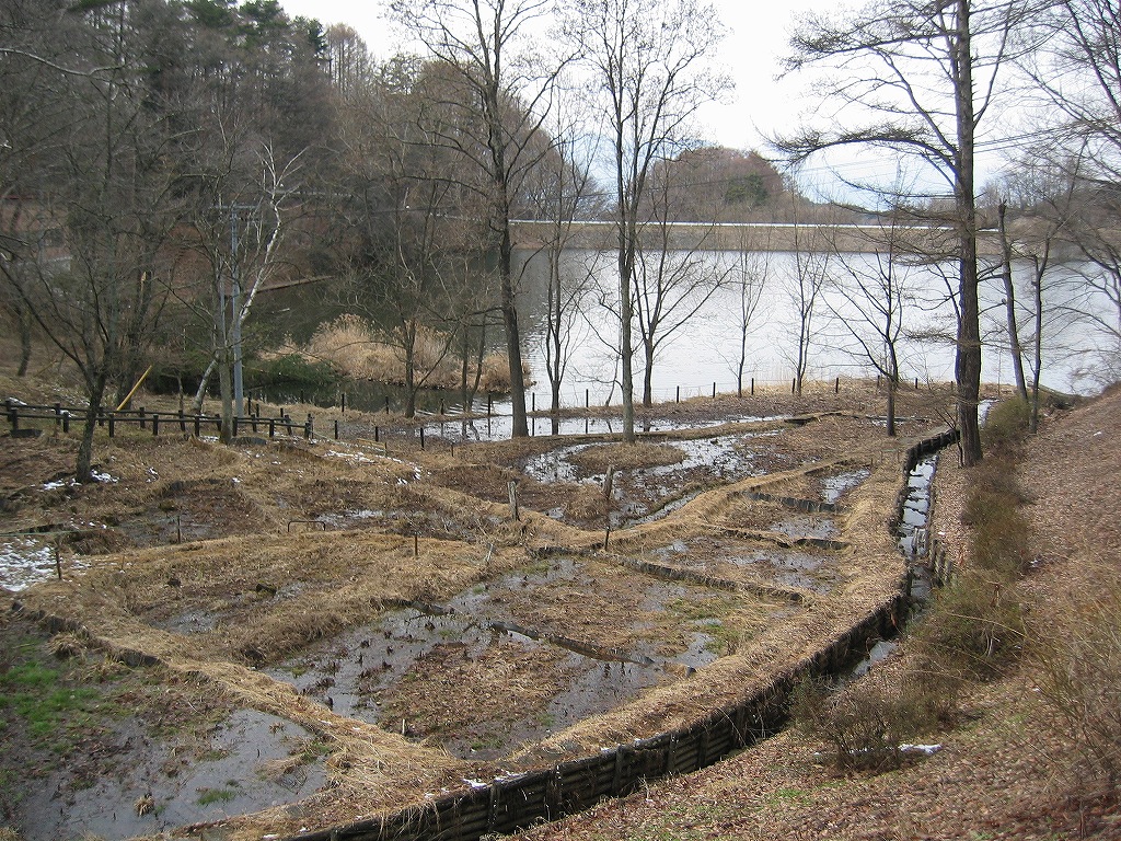 c0140260_22342144.jpg