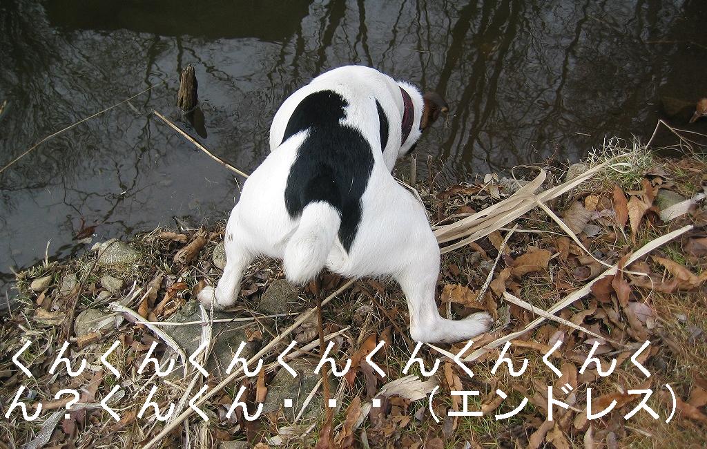 c0140260_22363692.jpg