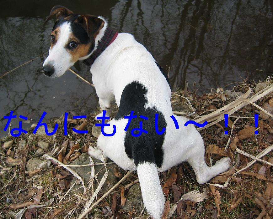 c0140260_22372356.jpg