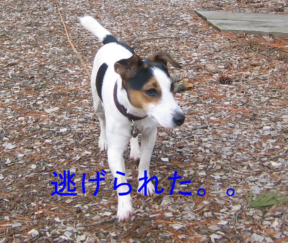 c0140260_22375625.jpg