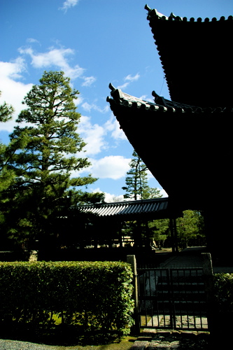 a0109466_2263513.jpg