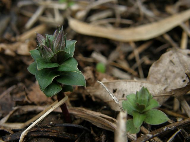 c0042869_21245066.jpg