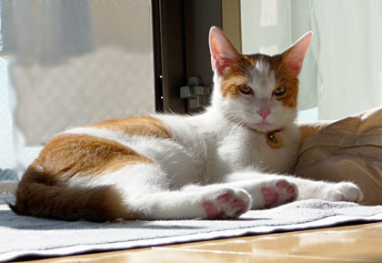 a0119470_2384593.jpg