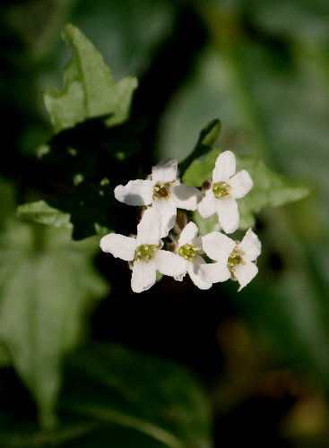 f0181173_13204822.jpg