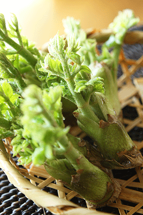 c0167576_8204567.gif