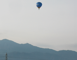 a0007078_9163070.gif