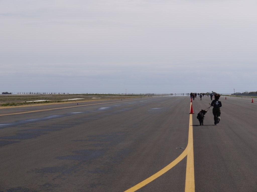 c0052779_23193578.jpg