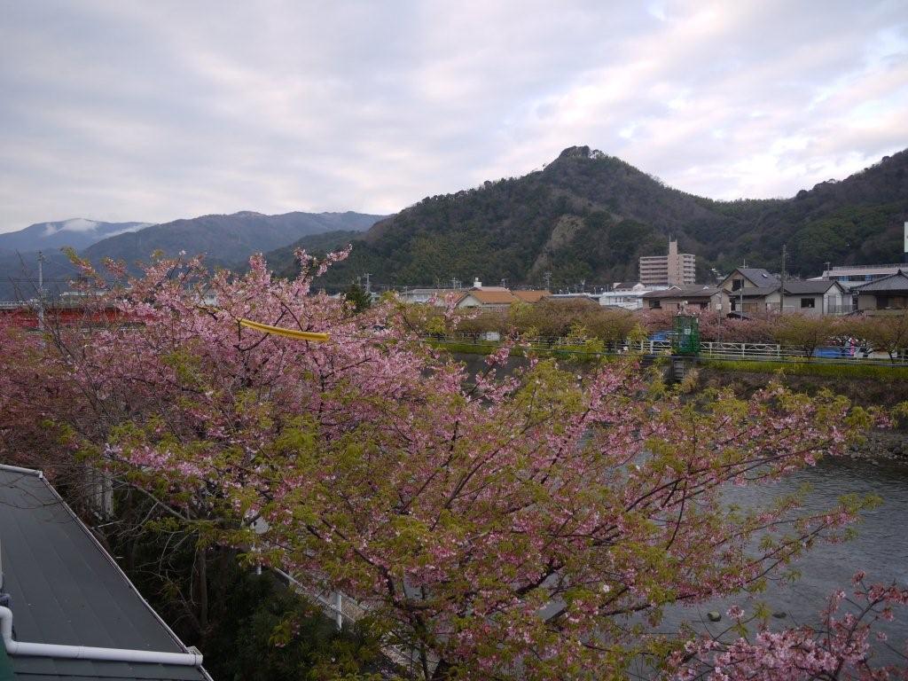 c0052779_23311534.jpg