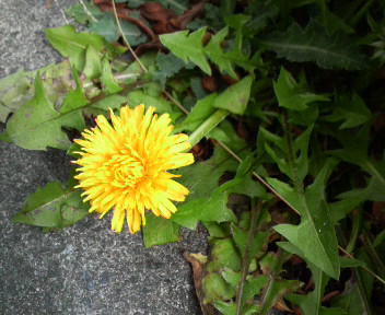 b0129280_13275047.jpg