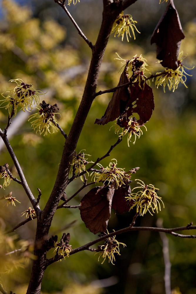 a0083081_1512536.jpg