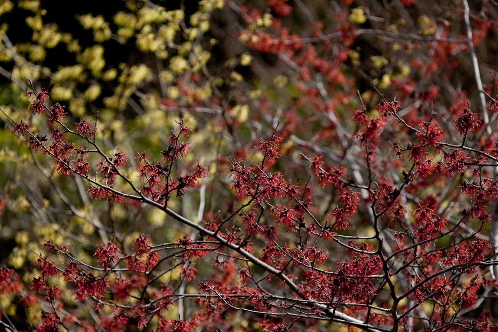 a0083081_152230.jpg