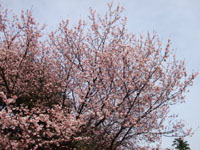 c0051781_23393315.jpg