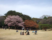 c0051781_23402444.jpg
