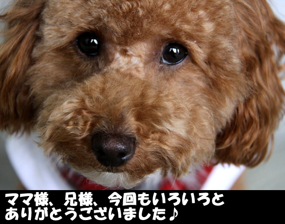 c0164491_115337.jpg