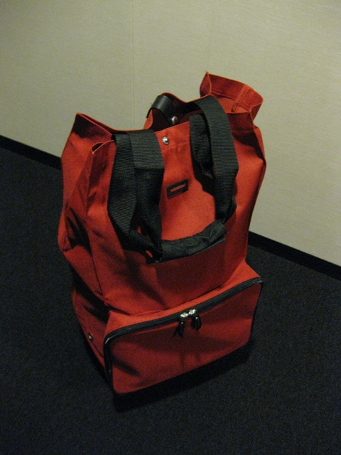 c0062495_1642286.jpg