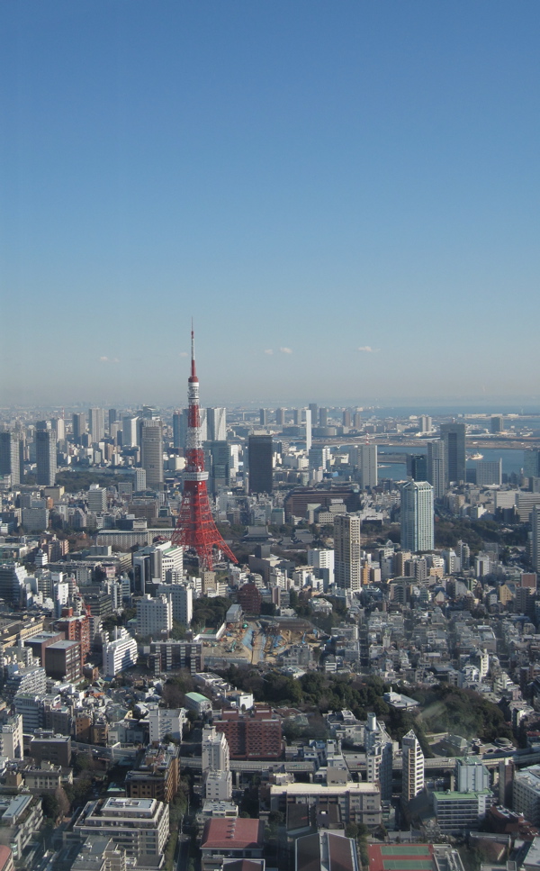 f0135295_961153.jpg