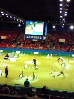 c0050400_8205428.jpg