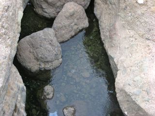 b0142203_22262147.jpg