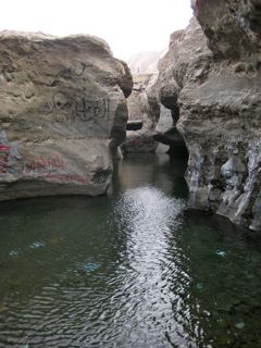 b0142203_22284847.jpg