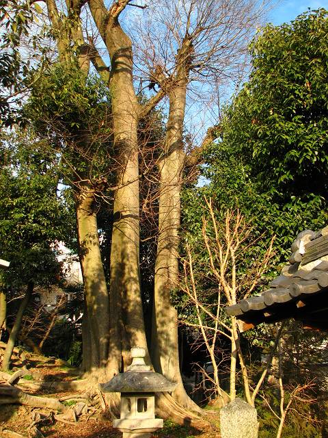 f0167310_8545481.jpg