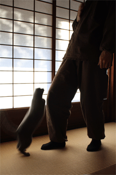 e0156015_146052.gif
