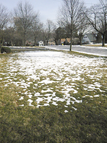 c0106317_6253589.jpg
