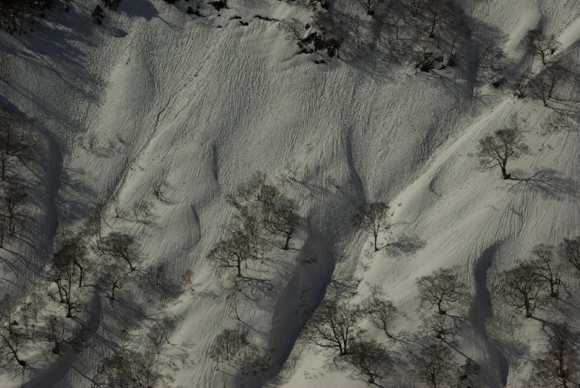 b0062024_19295395.jpg