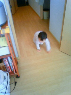e0036931_17495275.jpg