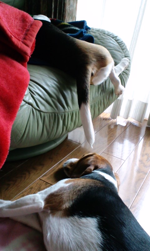 e0137731_023681.jpg