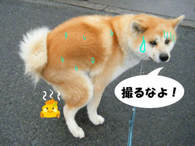 f0008935_1113016.gif