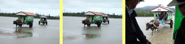 c0070439_0445010.jpg
