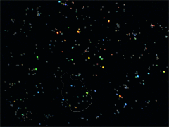 e0005548_2250516.gif