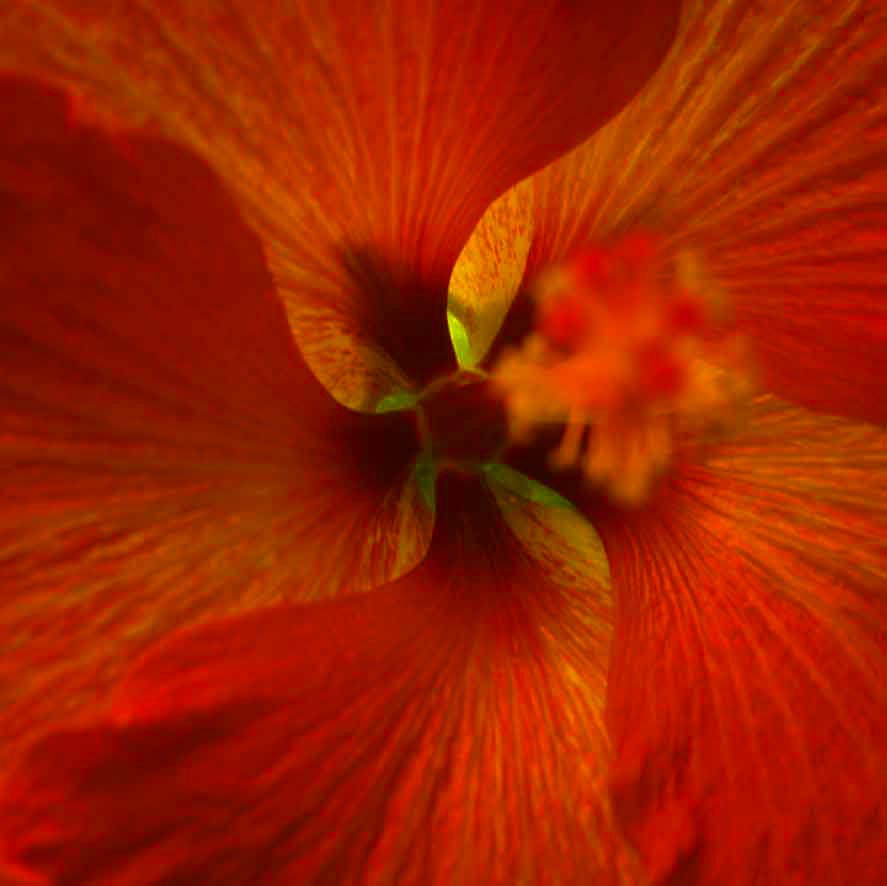 a0007651_21475950.jpg